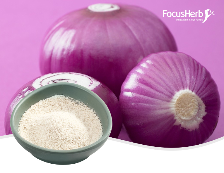 Dehydrated White Onion Powder 80-100 Mesh