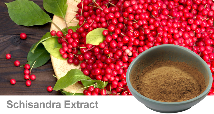 Organic Schisandra chinensis Berry Powder CERES Certified