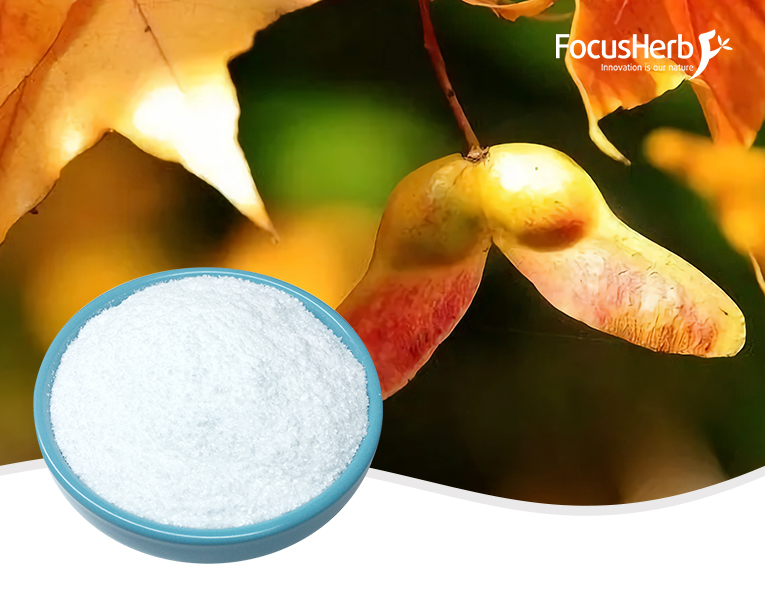Nervonic Acid Powder Brain Support Custom Gummy Supplements