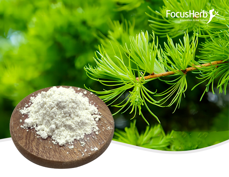 Taxifolin Dihydroquercetin and Spermidine Longevity Gummies