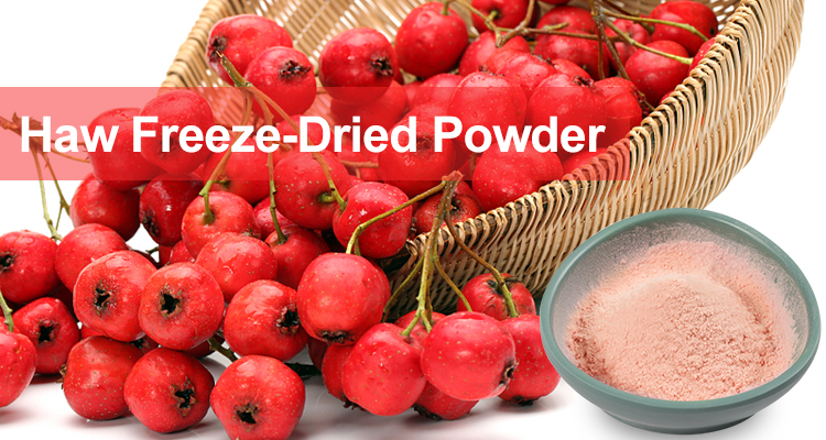 Organic Hawthorn Berry Powder CERES Certified