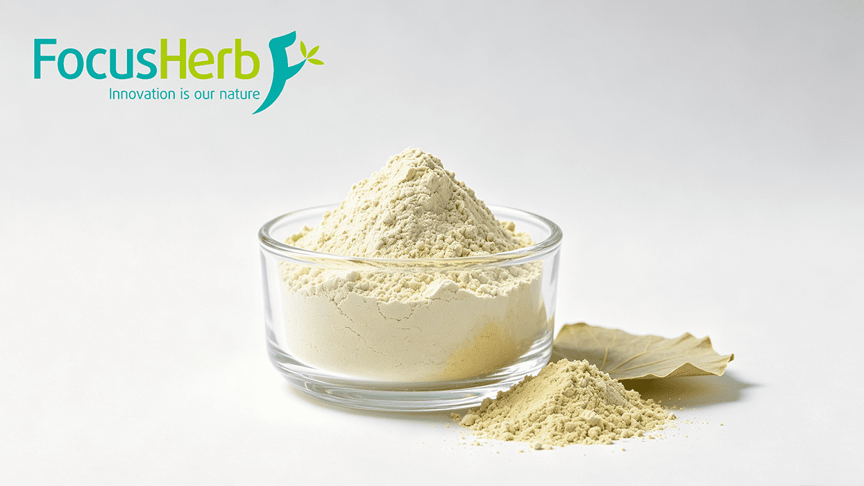 Nuciferine Powder - Lotus Leaf Alkaloid Extract