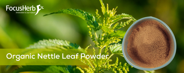 Organic Nettle Leaf Powder CERES Certified